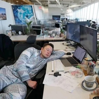 SpaceMusk26986's profile picture. CEO of Tesla Motors, Technology of Tesla, imperator of mars a Founder, CEO, chief Designer of space CEO, product Architect Tesla motor 2 & Chairman of solarcity