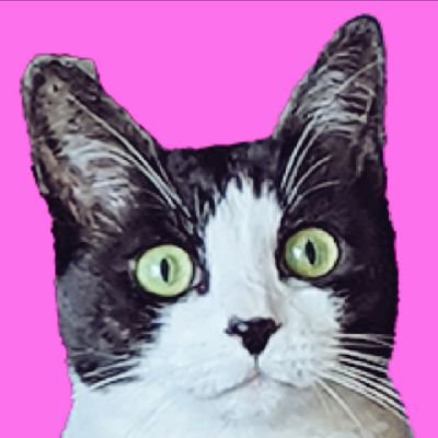 mari_go_to's profile picture. 