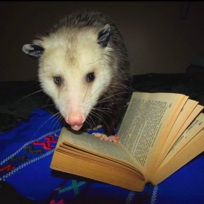 Reid_Bennett_'s profile picture. Writer of horror with disabled protags and whatever else is making people uncomfortable
Find me on the clock app, insta, and bsky under the same name and pfp!