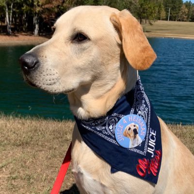 JuiceDaReb's profile picture. Forgotten but not gone. I bleed red and blue.