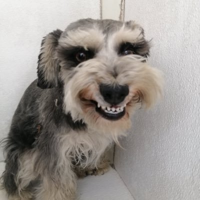 fer486987530's profile picture. 