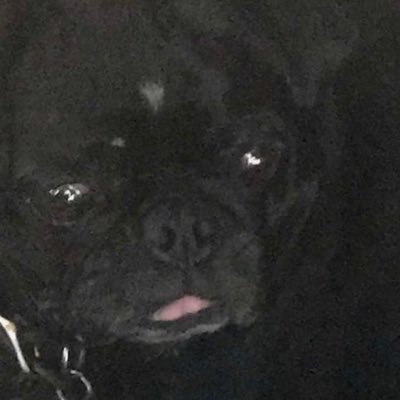 nathanchynoweth's profile picture. 