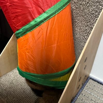 nonaksh1230's profile picture. 