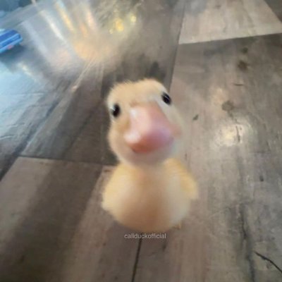 christi41861630's profile picture. 