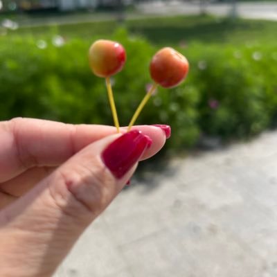 zmra_uneg's profile picture. байгаа зүйлийг байгаагаар нь хүлээж ав