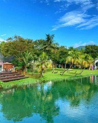 lvmmu79150's profile picture. 