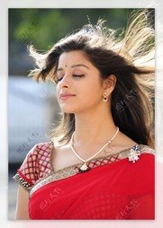 ykwey71637's profile picture. 