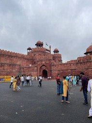 OGrowt31872's profile picture. 