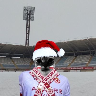 cazurro_cydl's profile picture. @CyDLeonesa🦁🤍❤⚽️ | @CultuBaloncesto🦁🤍❤️🏀 | Nacionalculturalista🆑️❤ | Cerocerismo y a otra cosa(20/50) | TikTok/Ig: @cazurro_cydl