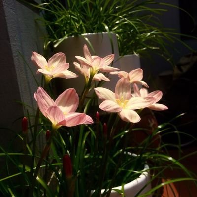 SubhashreeR45's profile picture. 45 ❤️