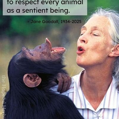 kay22720's profile picture. Serving the next generation for Christ|Youth Pastor Discipleship Leader and Vegan lifestyle 🌱