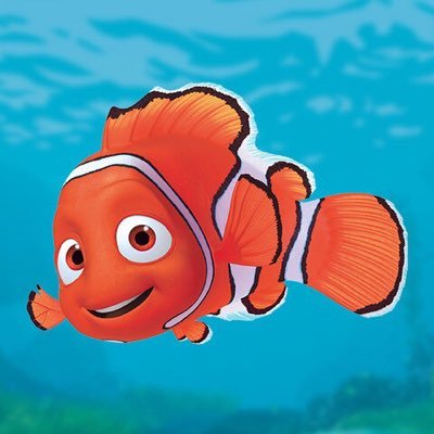 pakupaku_oisii's profile picture. 蝶のように舞い、牛のように寝る。