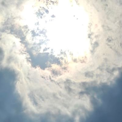 imsigOUO's profile picture. 🍀일상계, 투자계 | 20대 여성 투자자 | 선팔=맞팔 | 일상 글, 주식 공부 글 작성 | 편하게 팔로우해주세요!