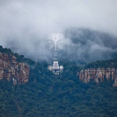 Kittusign's profile picture. 