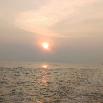 Narayani1590814's profile picture. 