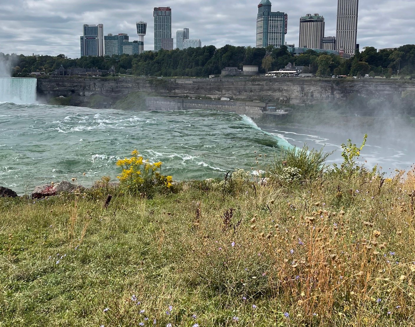 Falllgzd's profile picture. 