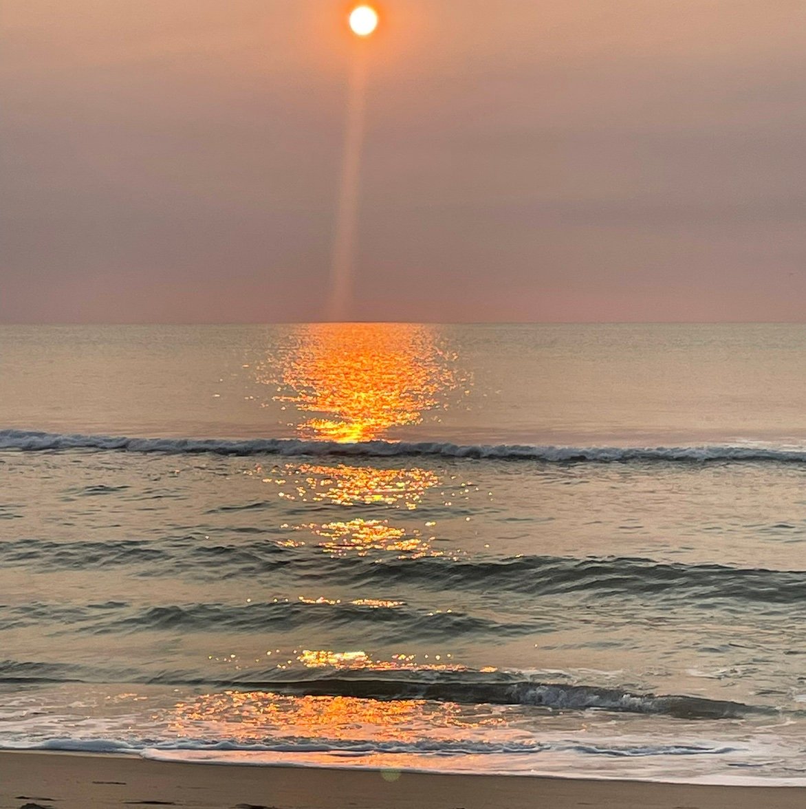 AnthonyTrott012's profile picture. 