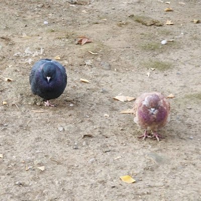 m___lover_'s profile picture. 