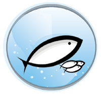 ReefsterTweets's profile picture. Website Now Open! Making reefkeeping fun and affordable for everyone!