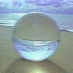 motxch's profile picture. 