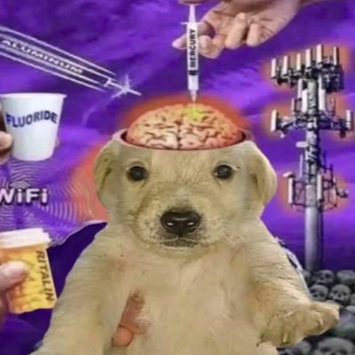 Dazztheog's profile picture. i post wtvr i like| main acc: @drugsandsocks_