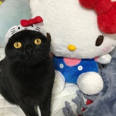 sleepybella444's profile picture. get your shit together girl