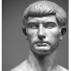 bru_tu5's profile picture. Human | Father | 
Blockchain Enthusiast |