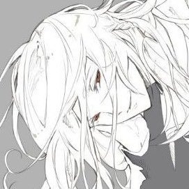 yorkiisong's profile picture. 