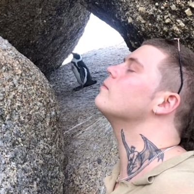 catboybait's profile picture. god’s most tortured dog