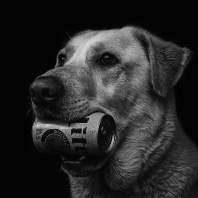 ch1vzgabe's profile picture. 