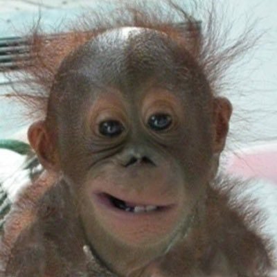 AnnTrixxie's profile picture. I know, you know, we know, Lee Know