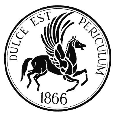 litiglous_dulce's profile picture. I'm a horse.