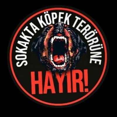 guvenli_sokak's profile picture. 