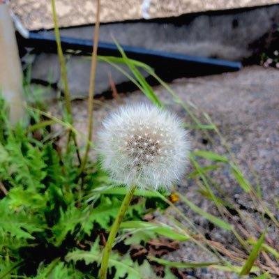 RankSolutionsEG's profile picture. 続きはリンクをクリックしてチェック！