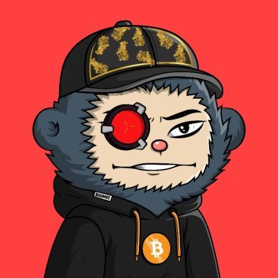 Wep3_world's profile picture. web3 degan!
crypto content writer
crypto learner
investor!
bitcoin maxi