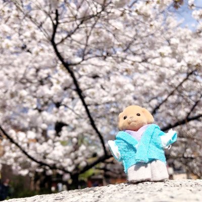 R__0203u's profile picture. 壁打ち꜀^. ̫.^꜆FFは️🗝。演劇/ゲーム/ゲーム実況/名探偵コナン/雑多！！！
さらに表示↓