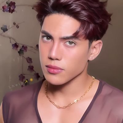 Lhelai1116's profile picture. Fan account. Made for Stell. ONLY for STELL. 🫶🏻