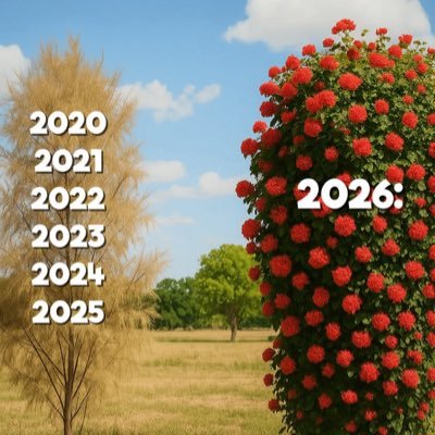 Hadis460720's profile picture. 