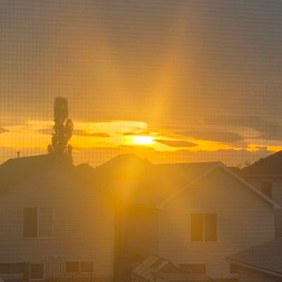 ashlynnl123's profile picture. 