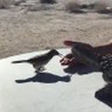 BrianBu25828008's profile picture. Army vet ‘71 to ‘75.i support God. country and family life is short .Don’t be a hater. love and understanding is your best assets in life.MAGA!