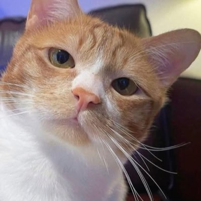 americanomen_'s profile picture. 