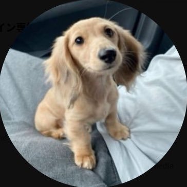 EBISU1176194's profile picture. 5年前にビットコイン出会い→100万円スタート→2年で専業→現在年間取引額39億円｜誰もポストしてない #Bitcoin の裏技をポストしてる｜趣味：：チェス、ワイン、読書、愛犬のマロンが生活の中心