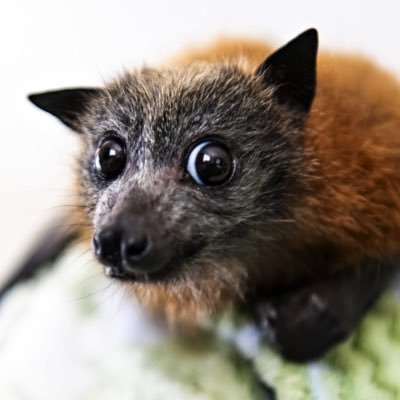 lifetrier2003's profile picture. 