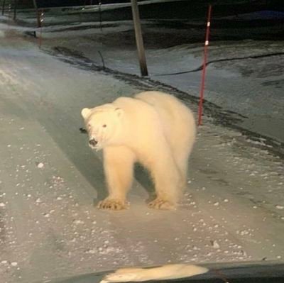 endlesserscs2's profile picture. 18 • Counter-Strike, Player, Trader, Esports Enjoyer • #forzAURORA