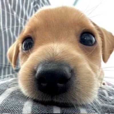 gigiegigi_'s profile picture. 