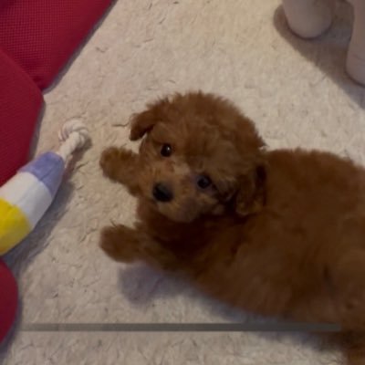 yo_watabe's profile picture. 平日はサラリーマン土日は趣味を頑張る40代