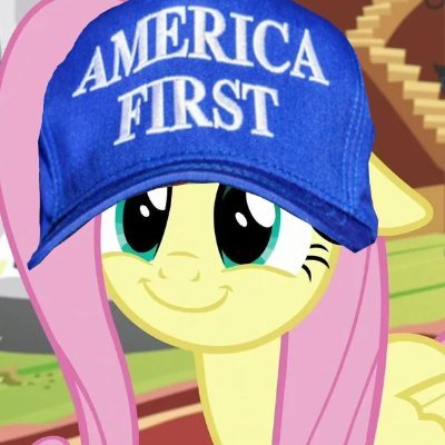 newenglandgroy's profile picture. 