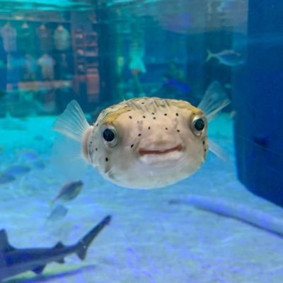 tmgw609's profile picture. 