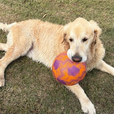 RobertAlexGarc5's profile picture. Se feliz con lo que tienes y disfruta que la vida es una sola. siempre positivo🍷