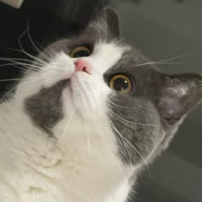 BlancoUyuni0418's profile picture. 